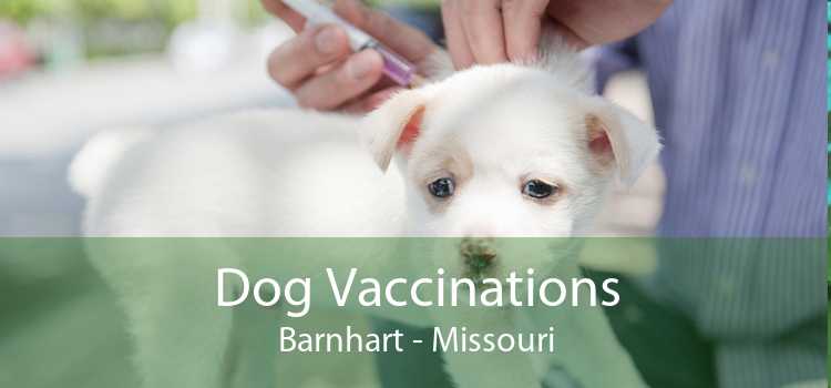 Dog Vaccinations Barnhart - Missouri