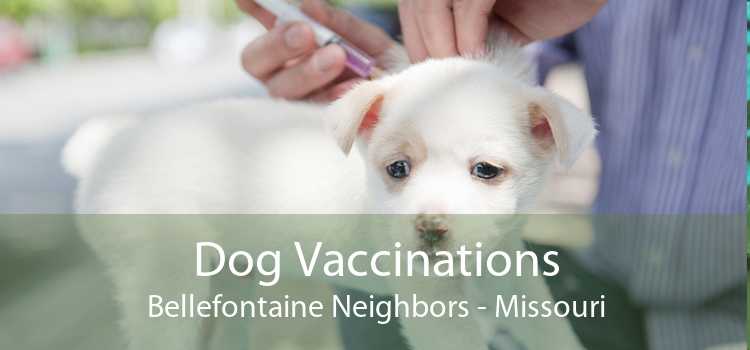 Dog Vaccinations Bellefontaine Neighbors - Missouri
