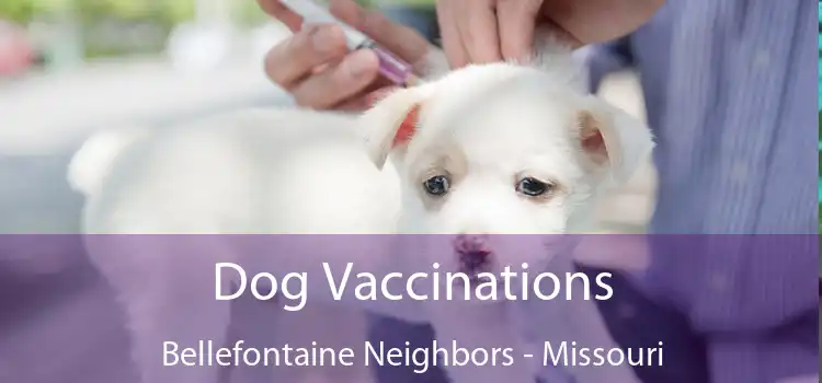 Dog Vaccinations Bellefontaine Neighbors - Missouri