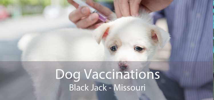 Dog Vaccinations Black Jack - Missouri