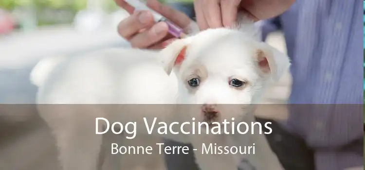 Dog Vaccinations Bonne Terre - Missouri