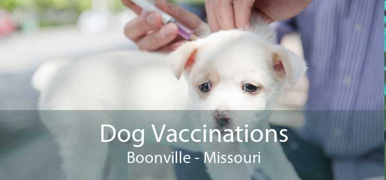 Dog Vaccinations Boonville - Missouri
