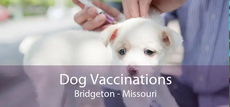 Dog Vaccinations Bridgeton - Missouri