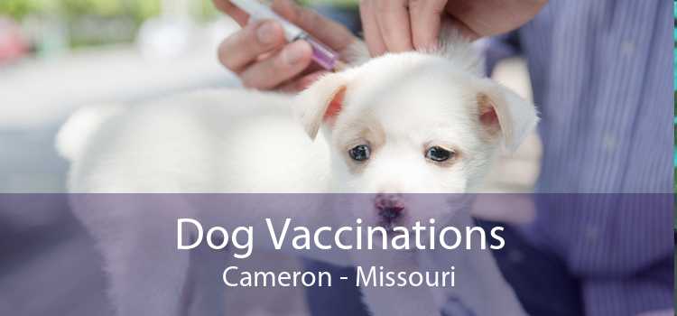 Dog Vaccinations Cameron - Missouri