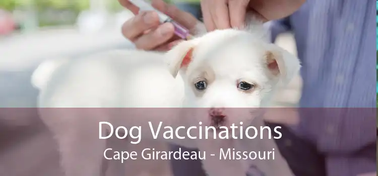 Dog Vaccinations Cape Girardeau - Missouri