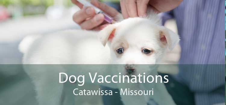 Dog Vaccinations Catawissa - Missouri
