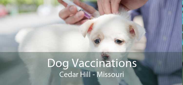 Dog Vaccinations Cedar Hill - Missouri