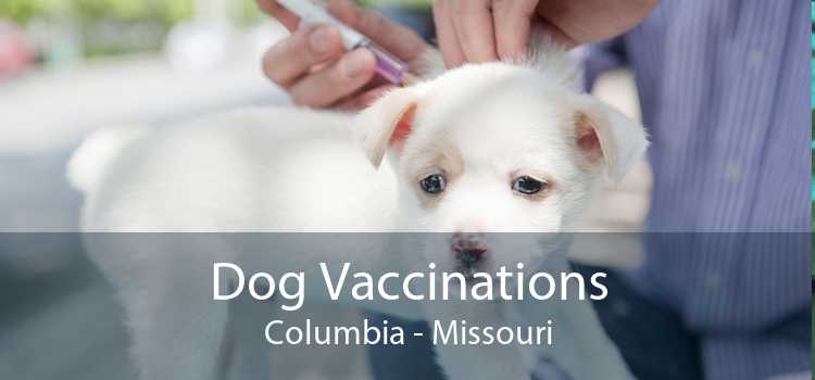 Dog Vaccinations Columbia - Missouri