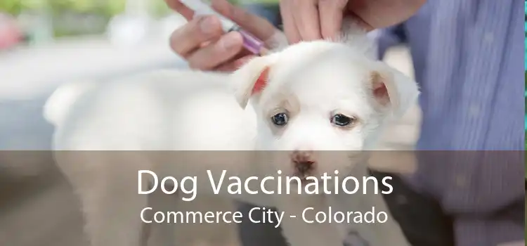 Dog Vaccinations Commerce City - Colorado