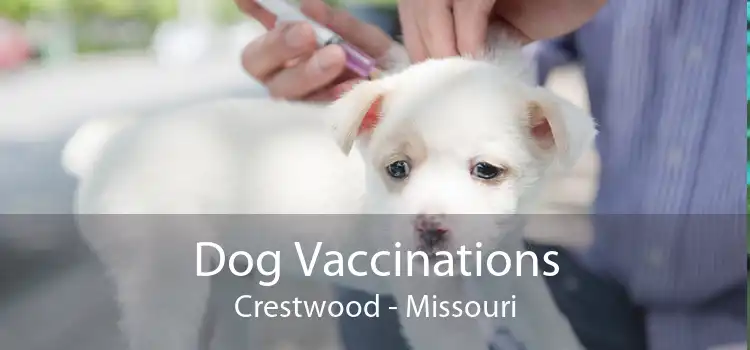 Dog Vaccinations Crestwood - Missouri
