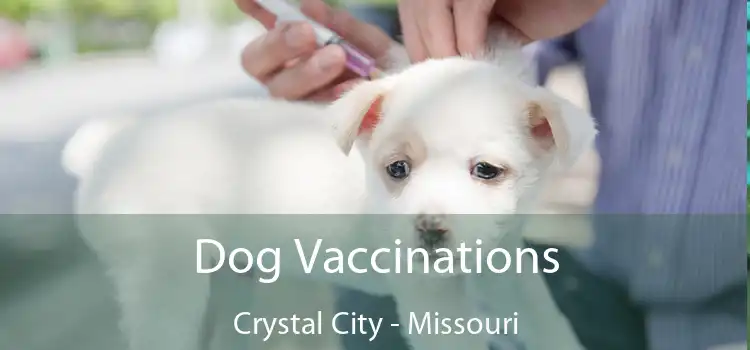 Dog Vaccinations Crystal City - Missouri