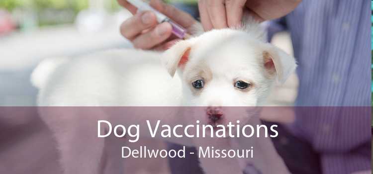 Dog Vaccinations Dellwood - Missouri