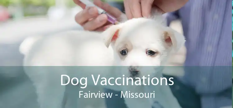 Dog Vaccinations Fairview - Missouri