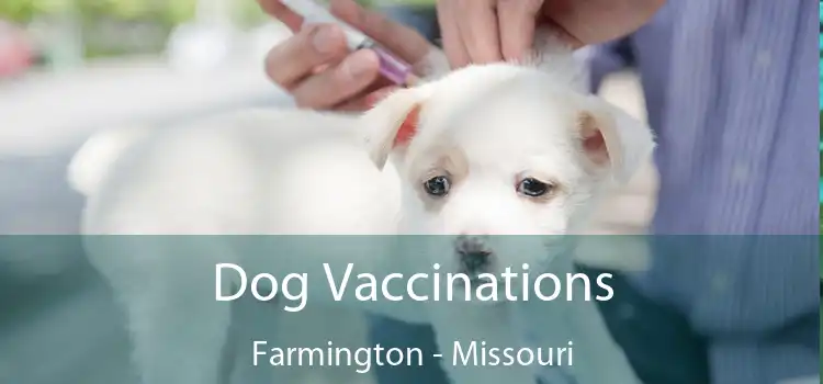 Dog Vaccinations Farmington - Missouri