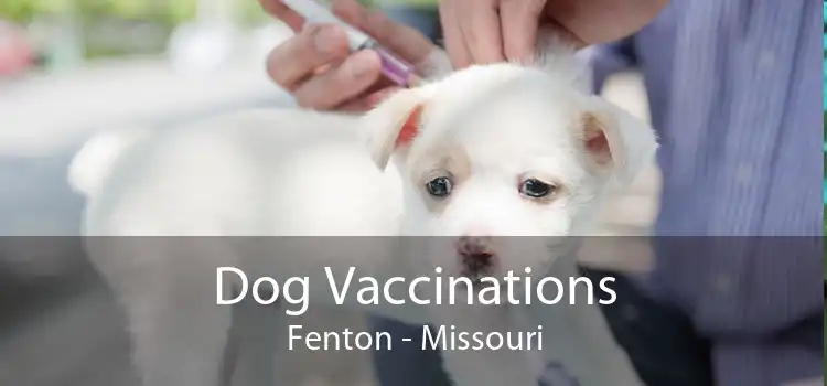 Dog Vaccinations Fenton - Missouri
