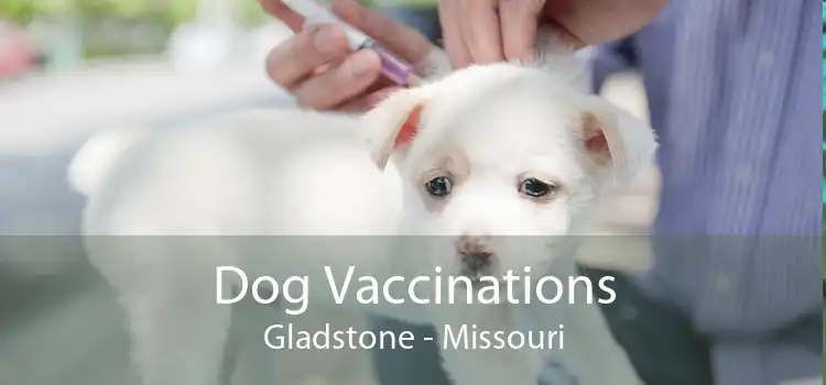 Dog Vaccinations Gladstone - Missouri
