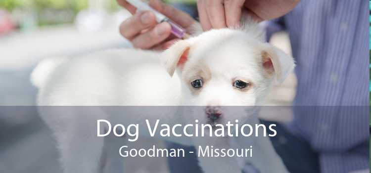 Dog Vaccinations Goodman - Missouri