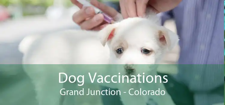 Dog Vaccinations Grand Junction - Colorado