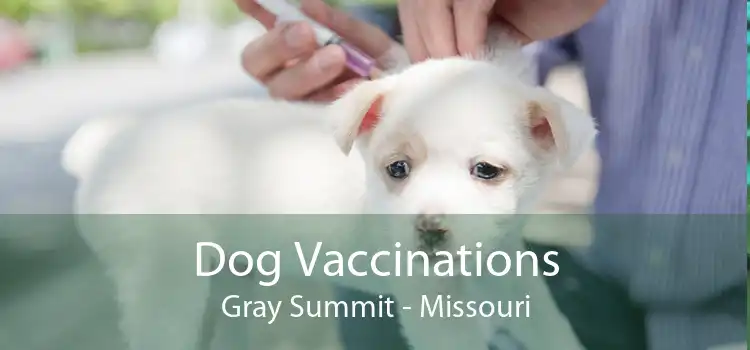 Dog Vaccinations Gray Summit - Missouri