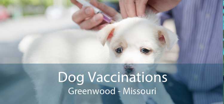 Dog Vaccinations Greenwood - Missouri