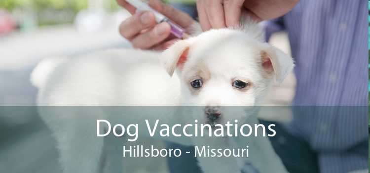 Dog Vaccinations Hillsboro - Missouri
