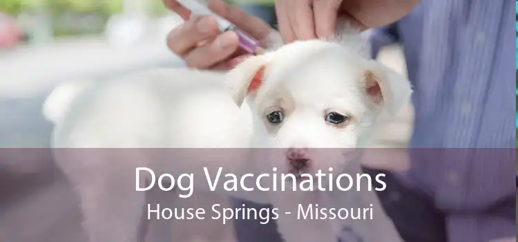 Dog Vaccinations House Springs - Missouri