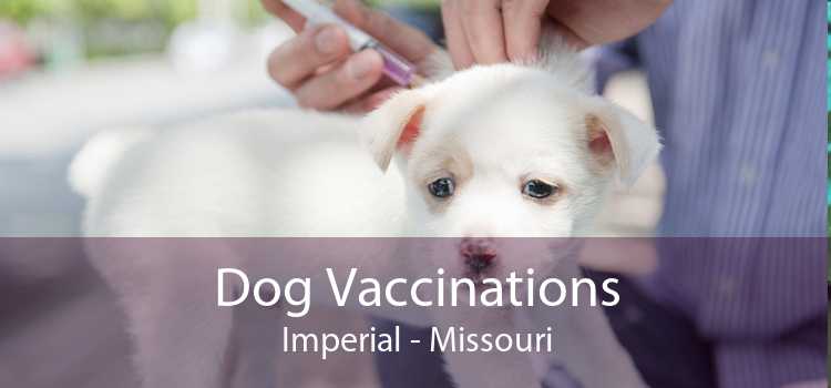 Dog Vaccinations Imperial - Missouri
