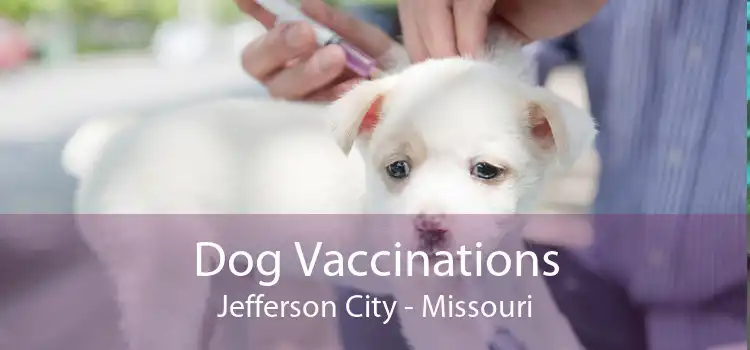 Dog Vaccinations Jefferson City - Missouri