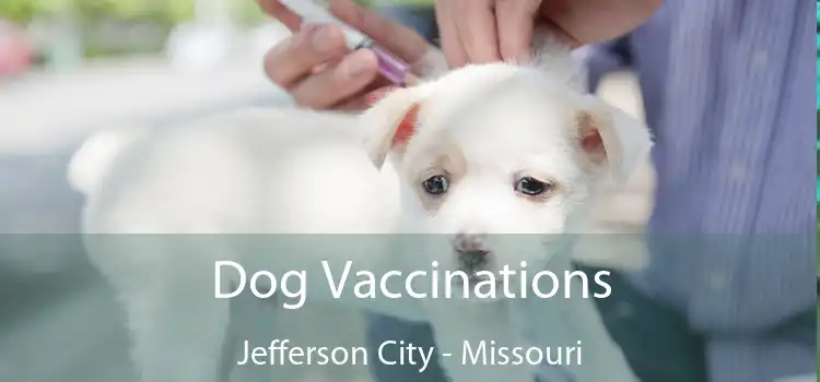 Dog Vaccinations Jefferson City - Missouri