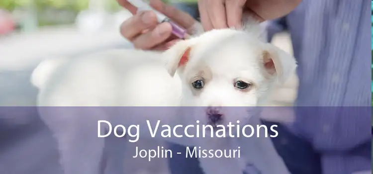 Dog Vaccinations Joplin - Missouri