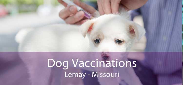 Dog Vaccinations Lemay - Missouri