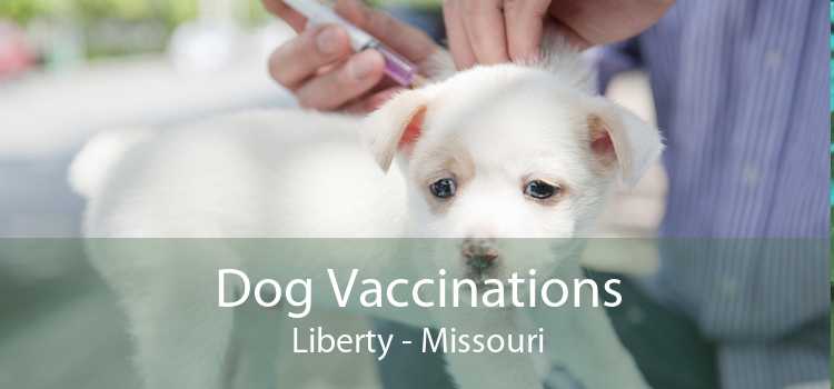 Dog Vaccinations Liberty - Missouri