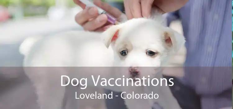 Dog Vaccinations Loveland - Colorado