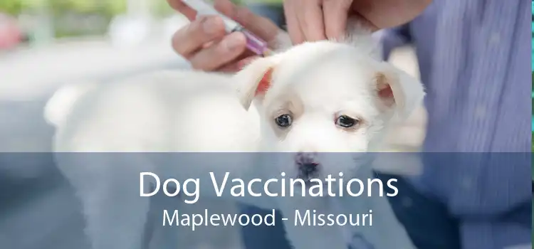 Dog Vaccinations Maplewood - Missouri