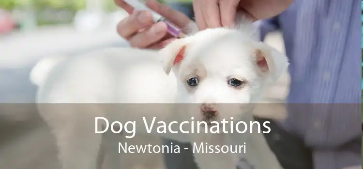 Dog Vaccinations Newtonia - Missouri