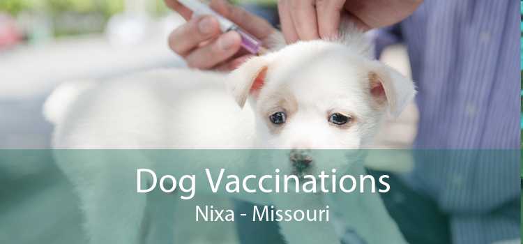 Dog Vaccinations Nixa - Missouri