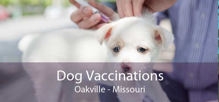 Dog Vaccinations Oakville - Missouri