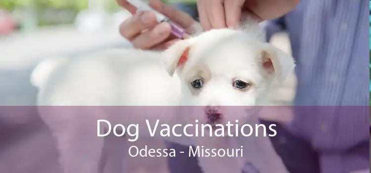 Dog Vaccinations Odessa - Missouri