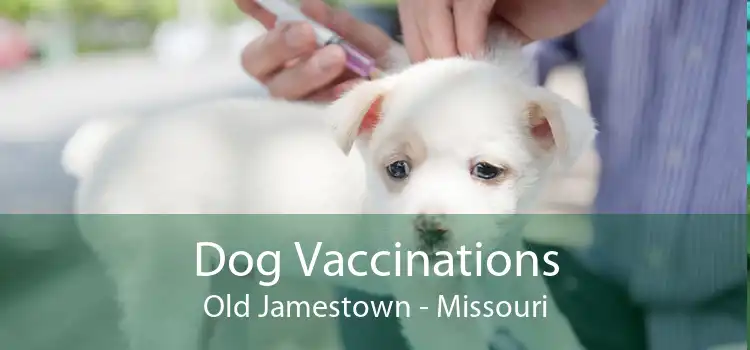 Dog Vaccinations Old Jamestown - Missouri