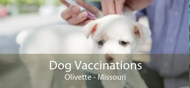 Dog Vaccinations Olivette - Missouri