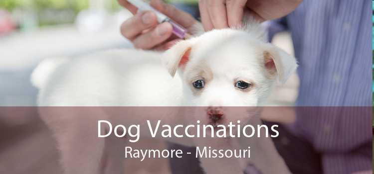 Dog Vaccinations Raymore - Missouri