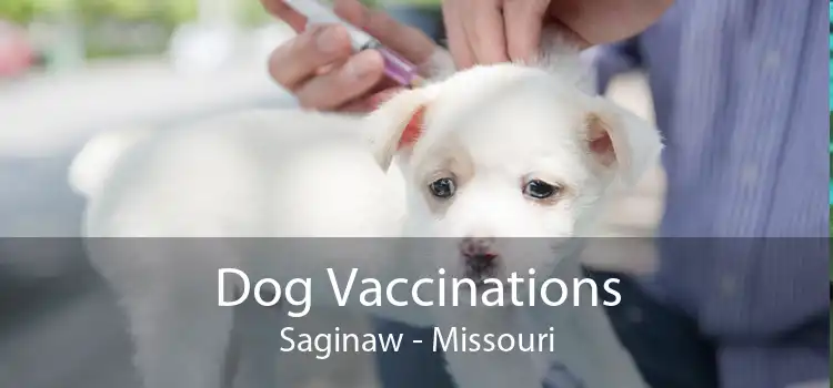 Dog Vaccinations Saginaw - Missouri