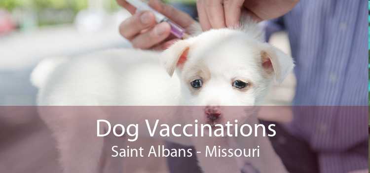 Dog Vaccinations Saint Albans - Missouri