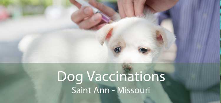 Dog Vaccinations Saint Ann - Missouri