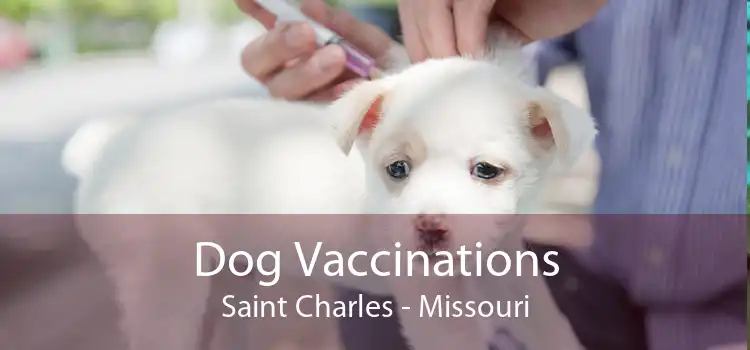 Dog Vaccinations Saint Charles - Missouri