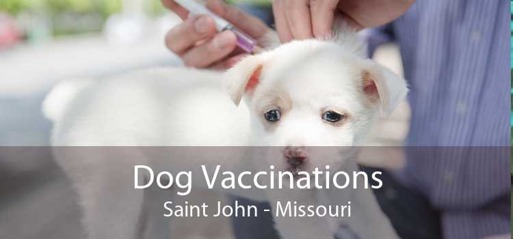 Dog Vaccinations Saint John - Missouri