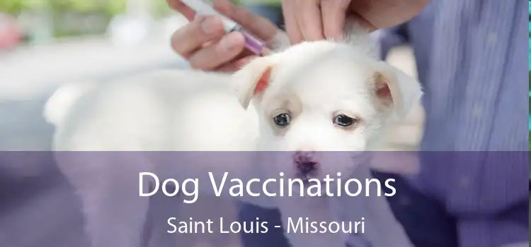 Dog Vaccinations Saint Louis - Missouri