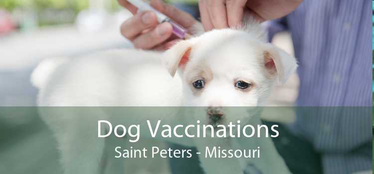 Dog Vaccinations Saint Peters - Missouri