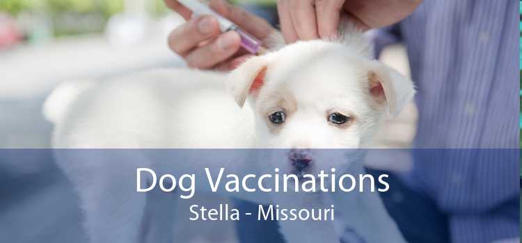 Dog Vaccinations Stella - Missouri