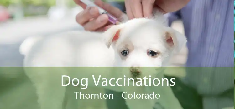 Dog Vaccinations Thornton - Colorado